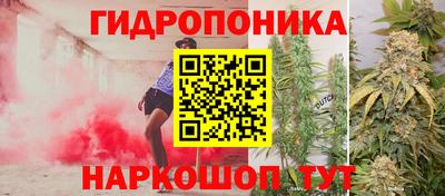 сатива Апшеронск